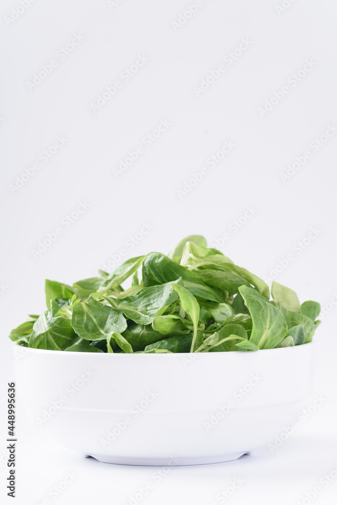 Fresh corn salad leaves on a white background. The concept of lettuce is rich in vitamins, beneficial for health as an ingredient in vegetarian food. Fresh corn salad leaves on a white background. The concept of lettuce is rich in vitamins, beneficial for health as an ingredient in vegetarian food.