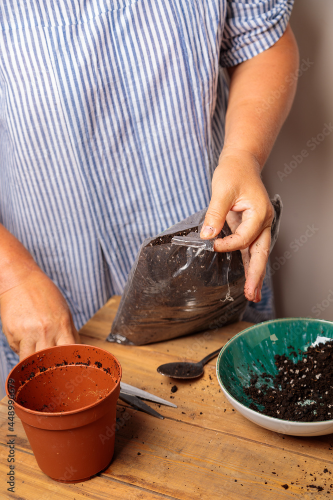 The woman prepares the soil for transplanting flowers.