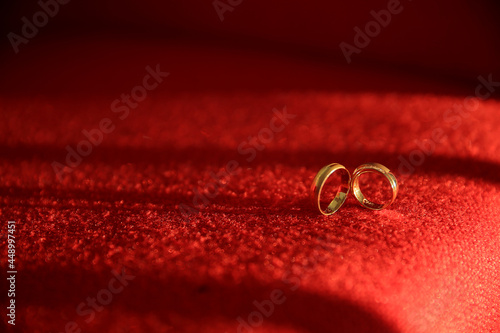 wedding rings on red rose