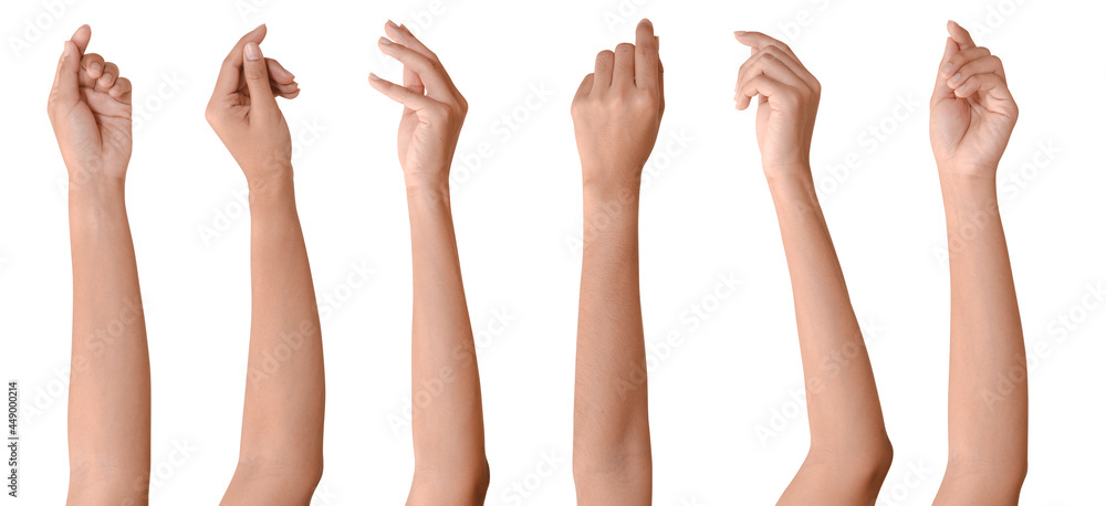Set of woman hands isolated on white background. - obrazy, fototapety, plakaty 