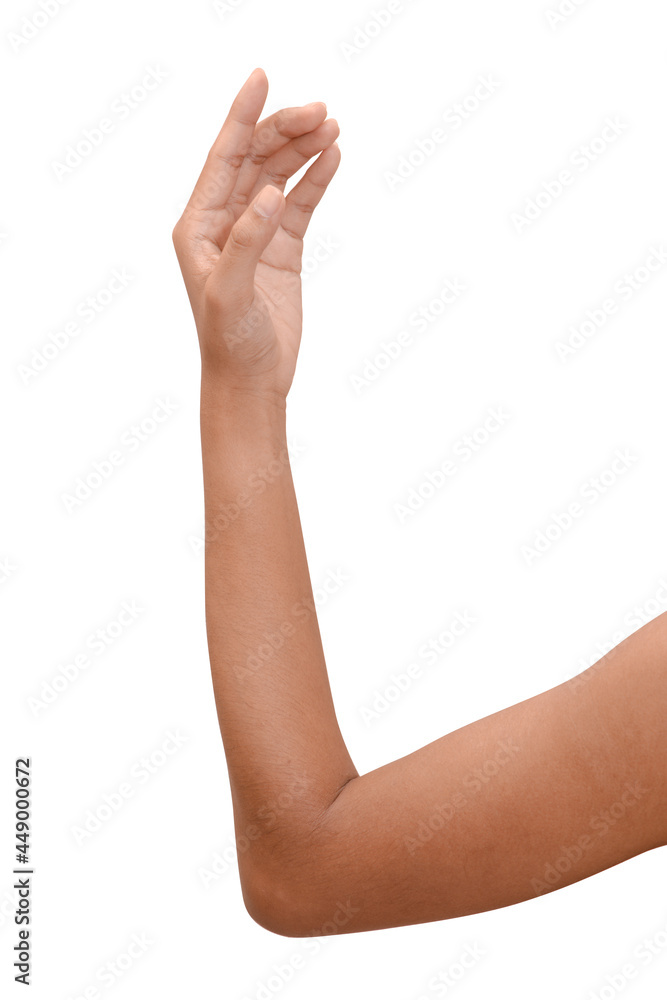 Hand Figures isolated on white background. Hand Figures isolated on white background.