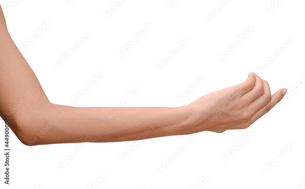 Woman hand holding isolated on white background. Woman hand holding isolated on white background.