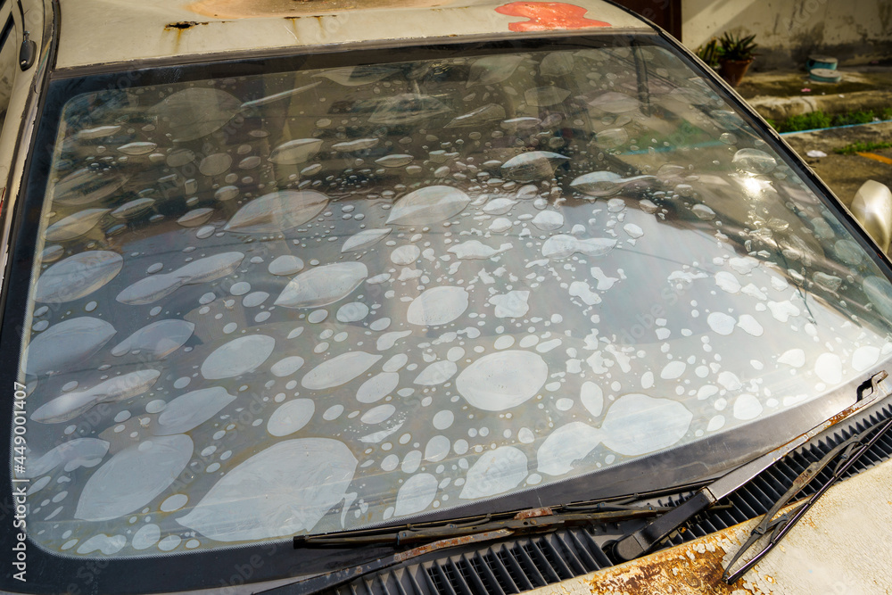 The windshield film peels off, resulting in air bubbles due to being parked in the sun, lack of maintenance