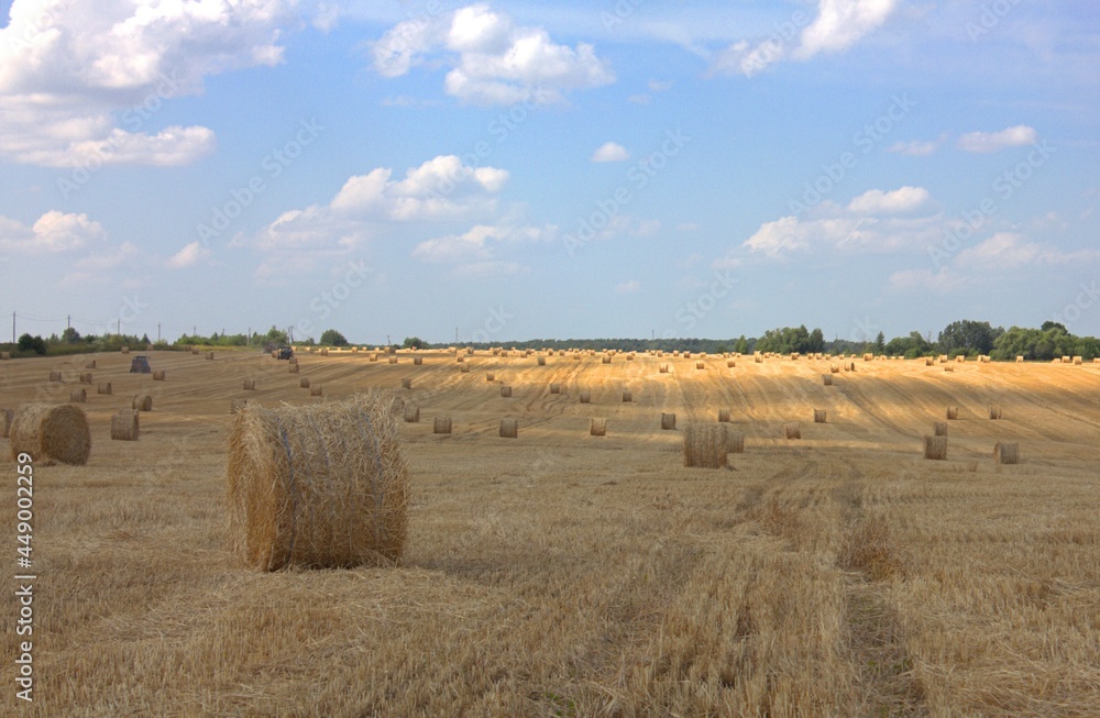 Haystacks in the field, after harvesting with machinery. Against the background of the sky with clouds.