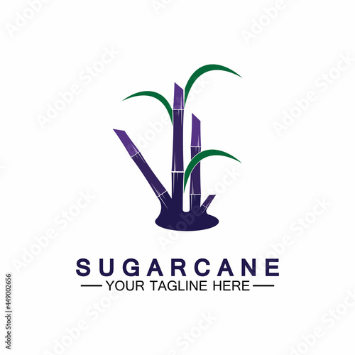 Sugar cane logo icon symbol vector illustration design template