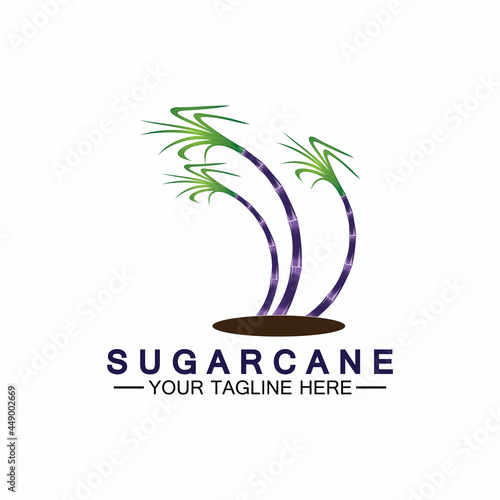 Sugar cane logo icon symbol vector illustration design template