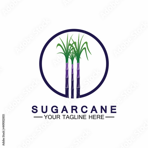 Sugar cane logo icon symbol vector illustration design template