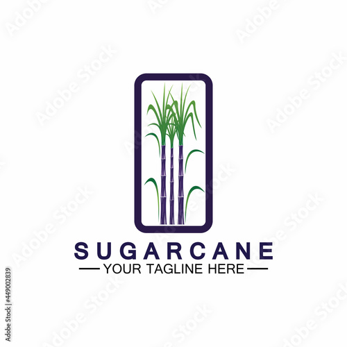 Sugar cane logo icon symbol vector illustration design template