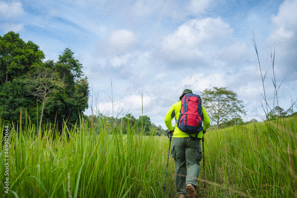 Backpacker trekking to study nature of tropical forest for ecotourism. Tourist trekking to see the beauty of the tropical forest in Khao Yai National Park. UNESCO World Heritage Area, Unseen Thailand. Backpacker trekking to study nature of tropical forest for ecotourism. Tourist trekking to see the beauty of the tropical forest in Khao Yai National Park. UNESCO World Heritage Area, Unseen Thailand.