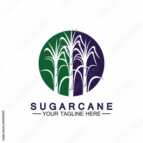 Sugar cane logo icon symbol vector illustration design template