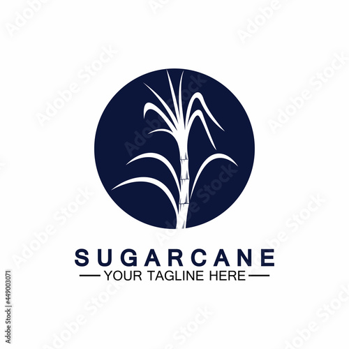 Sugar cane logo icon symbol vector illustration design template