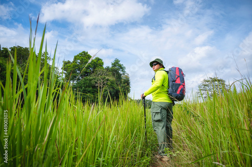 Backpacker trekking to study nature of tropical forest for ecotourism. Tourist trekking to see the beauty of the tropical forest in Khao Yai National Park. UNESCO World Heritage Area, Unseen Thailand.