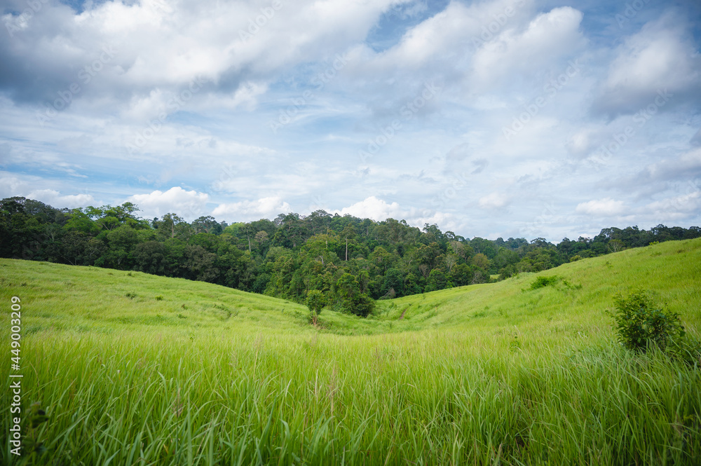 Green meadow and mountains of tropical forest in Khao Yai National Park. UNESCO World Heritage Area, Unseen Thailand. Ecotourism and tourism to study life of wildlife in Khao Yai National Park.