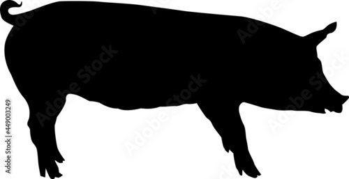 An isolated image of a pig. Creative graphic design for a butcher shop, farmer's market. Poster on the theme of animals. Black silhouette of a pig on a white background. A set of farm animals.