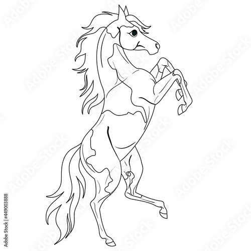 Coloring page with horse. Painting for children.