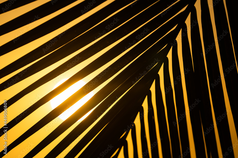 Obraz premium Tropical orange sunset behind silhouette of big palm leaf. Vacation and travel concept
