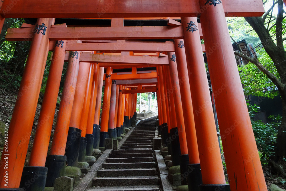 伏見稲荷大社の千本鳥居／About 10,000 torii gates are lined up at the 