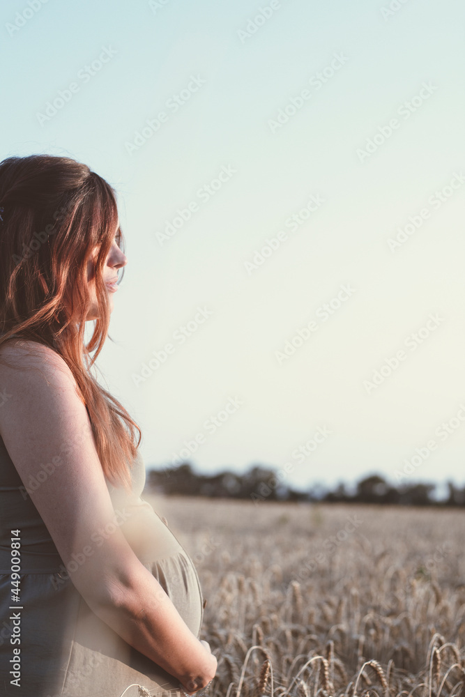 part of body of beautiful young pregnant woman walks on wheat field at sunset, face profile of expectant mother stroking her belly, pregnancy concept