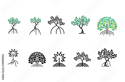 Various of mangroves tree, mangrove icon vector collections photo
