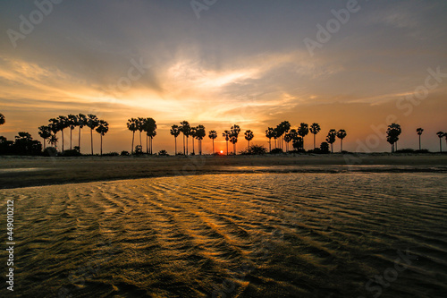 Beautiful sunset at a beach full of palm trees.