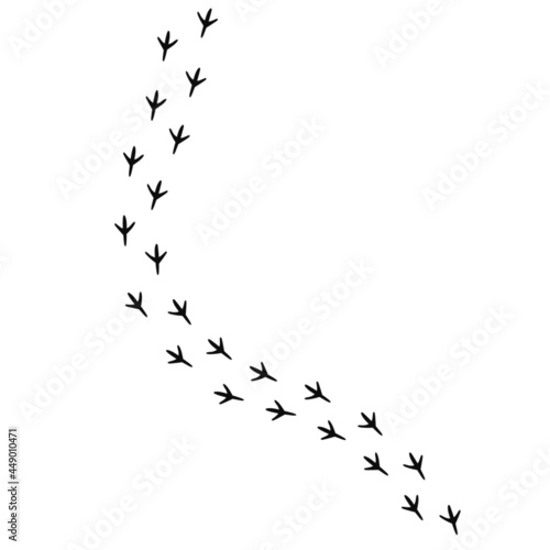 Carta da parati Birds paw prints silhouette walking on a path on the ground - Vector high qualit