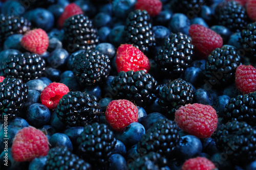 Forest berries, blueberries, blackberries, raspberries, close-up. Colorful wild berries, sunlight, harvest
