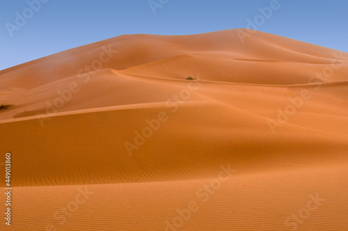 sand dunes in the desert © Hussain