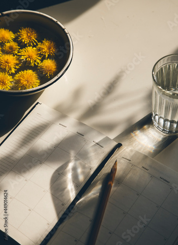 top view of yellow dandelion flowers in water and notebook with pencil on table with copy space and shadows