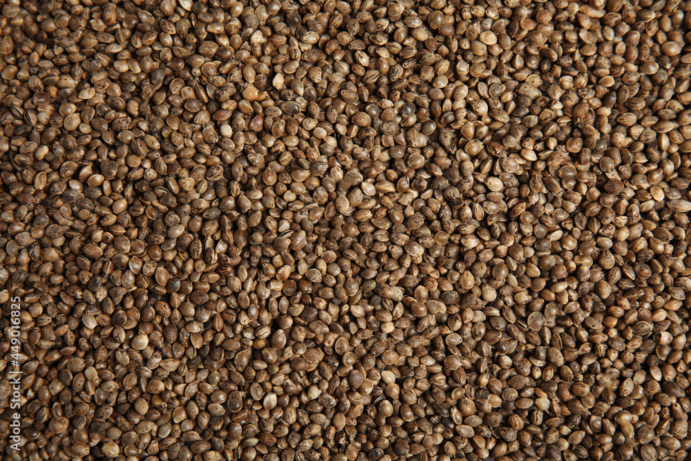Organic hemp seeds as background, top view Organic hemp seeds as background, top view