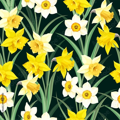 Leinwand Poster Seamless pattern with yellow and white daffodil