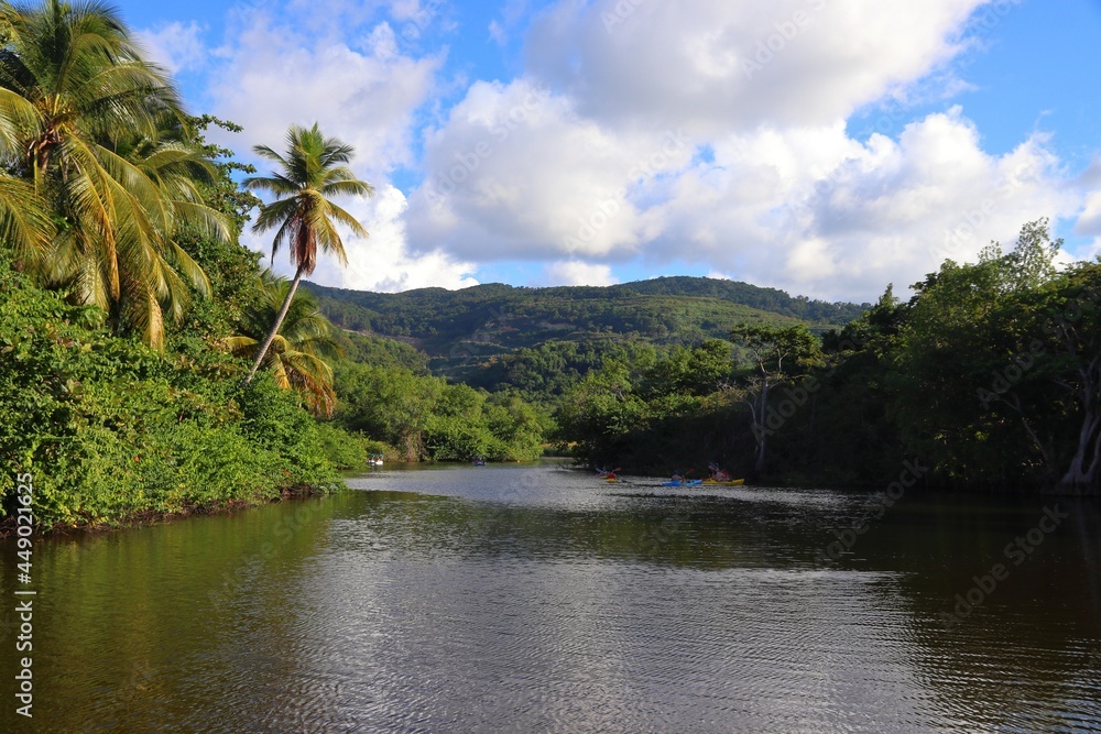 Guadeloupe nature - jungle lagoon