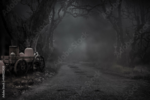 A black and white picture of a gravel road entering the forest at night is terrifying.