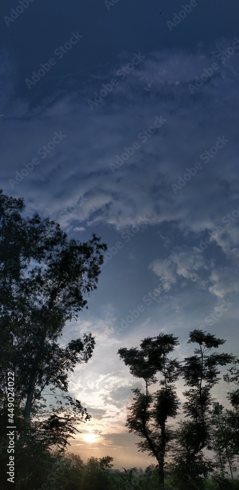 Fototapeta premium Picture of the sunset