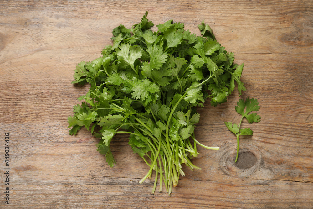 Bunch of fresh aromatic cilantro on wooden table, top view Bunch of fresh aromatic cilantro on wooden table, top view