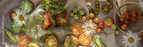 Organic fresh tomatoes and gooseberries with fresh herbs and chamomiles from home garden on a linen tablecloth. Healthy ecological harvest concept