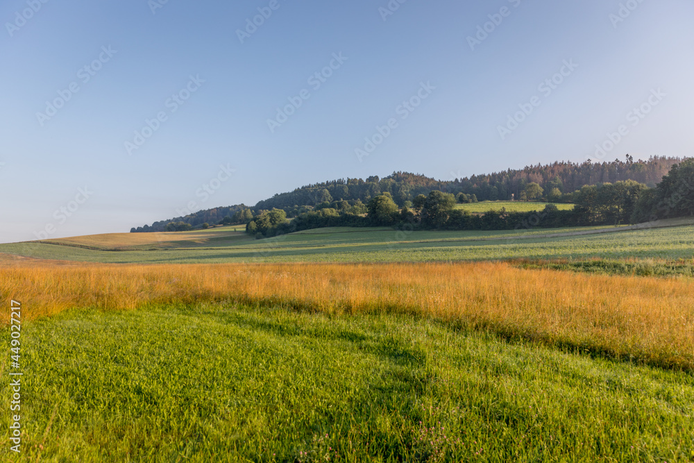 Felder in der Sächsischen Schweiz