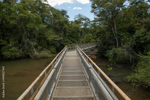 The wooden bridge over the river. View of the empty boardwalk into the green jungle in Iguazu national park in Misiones, Argentina.