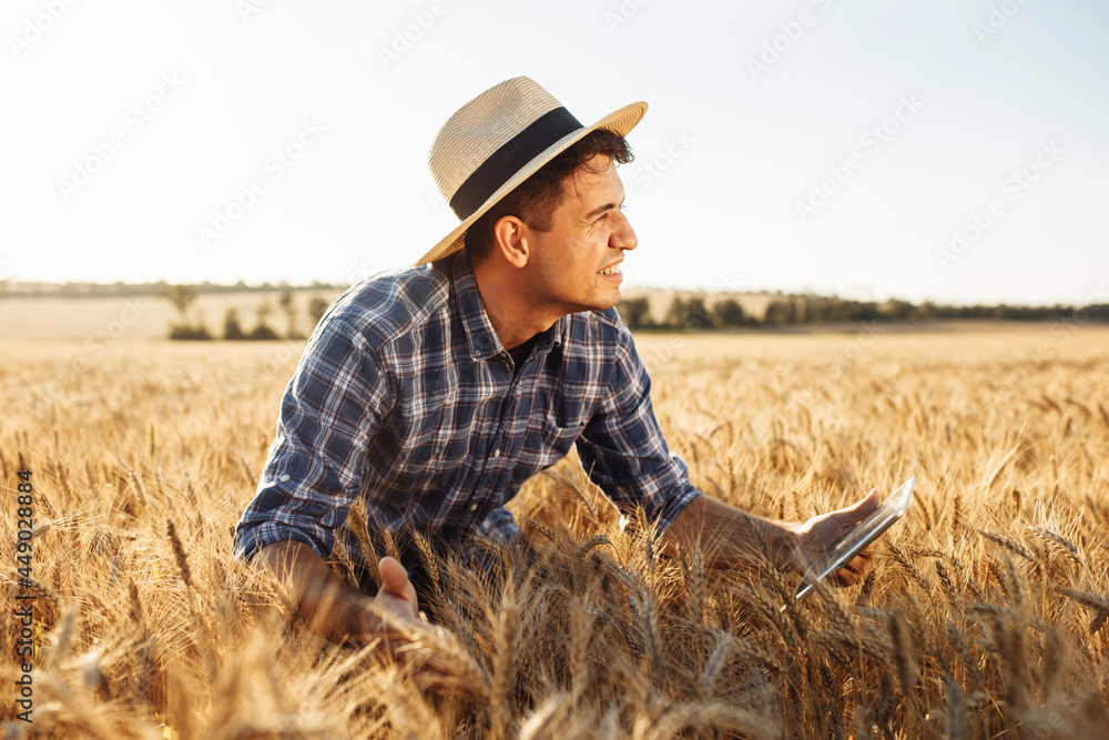 A young farmer with a tablet in his hands checks the quality of the wheat. Agronomist in a straw hat in the middle of a ripe wheat field. Sunset light, summer landscape. A young farmer with a tablet in his hands checks the quality of the wheat. Agronomist in a straw hat in the middle of a ripe wheat field. Sunset light, summer landscape.