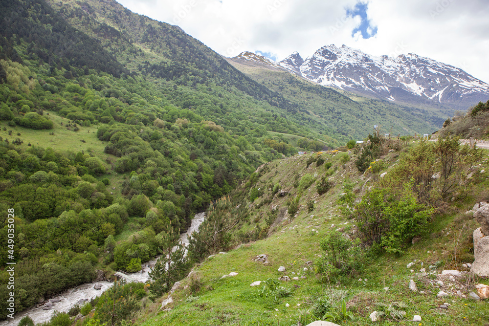 Naklejka premium Mountain river. Mountain Digoria. North Ossetia. Russia.