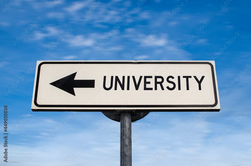 University road sign, arrow on blue sky background. One way blank road sign with copy space. Arrow on a pole pointing in one direction. University road sign, arrow on blue sky background. One way blank road sign with copy space. Arrow on a pole pointing in one direction.