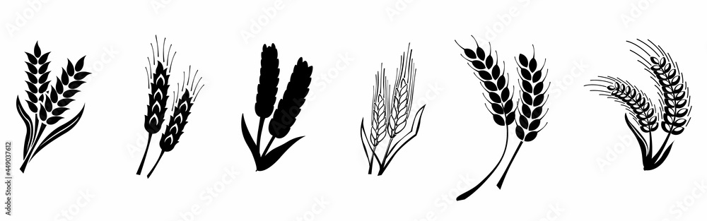 Set of black hand drawn wheat ears icons
