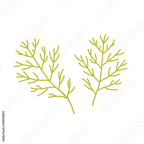 Dill leaves  herb vegetable fresh product  organic farm food production vector illustration. Cartoon healthy green leaf of fennel or dill from farm agriculture market isolated on white