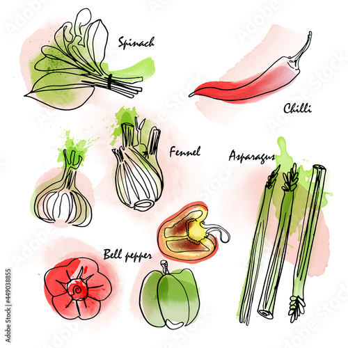 Watercolor effect vegetable vector icon set. Digital painting and hand-drawn monoline elements.