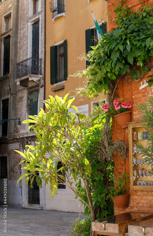 Typical Venetian street, Venice, Italy