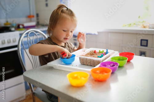 Montessori and Sensory Development, A child in the kitchen learns colors, sorts toy figures by color. The child is playing with tweezers,