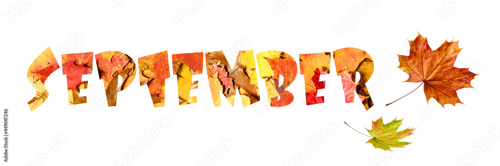Autumn september background with word from fallen leaves. Fall banner with copy space. Autumn september background with word from fallen leaves. Fall banner with copy space.