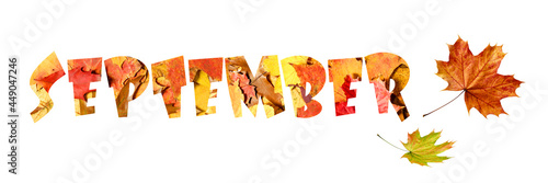 Autumn september background with word from fallen leaves. Fall banner with copy space. 