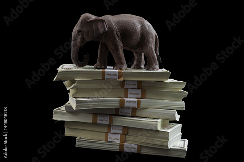 Foto Campaign finance issues and GOP political influence concept with elephant repres