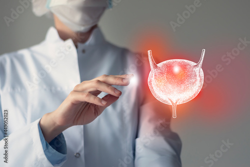 Unrecognizable doctor caring highlighted blue handrawn Bladder. Medical illustration, template, science mockup. photo