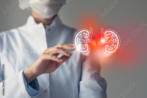 Unrecognizable doctor caring highlighted blue handrawn Kidneys. Medical illustration, template, science mockup. photo
